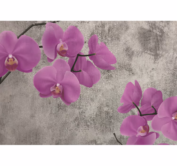 Flowers wall mural rose orchid blossoms - TenStickers