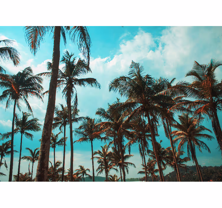 Nature wall mural tropical palm tree paradise - TenStickers