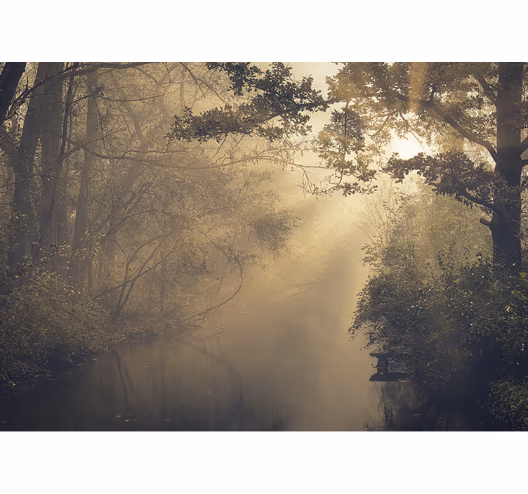 Nature wall mural luminous forest scenery - TenStickers