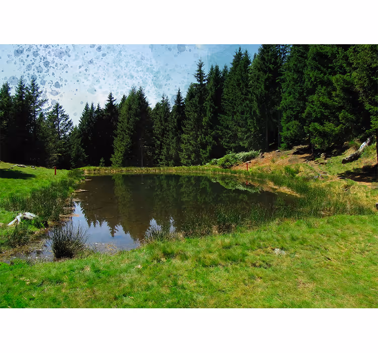 Tranquil forest view landscape wall mural - TenStickers