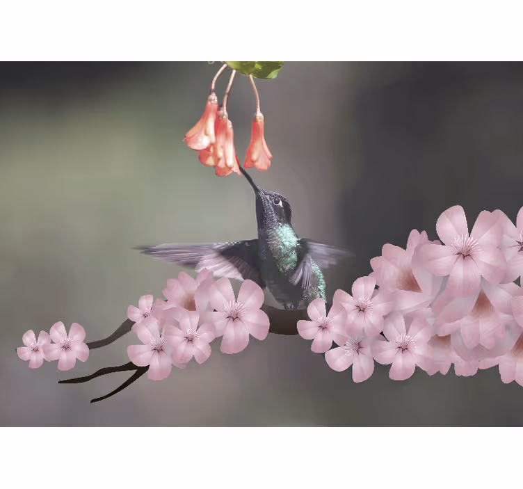 Wall mural animals hummingbird and blooms - TenStickers