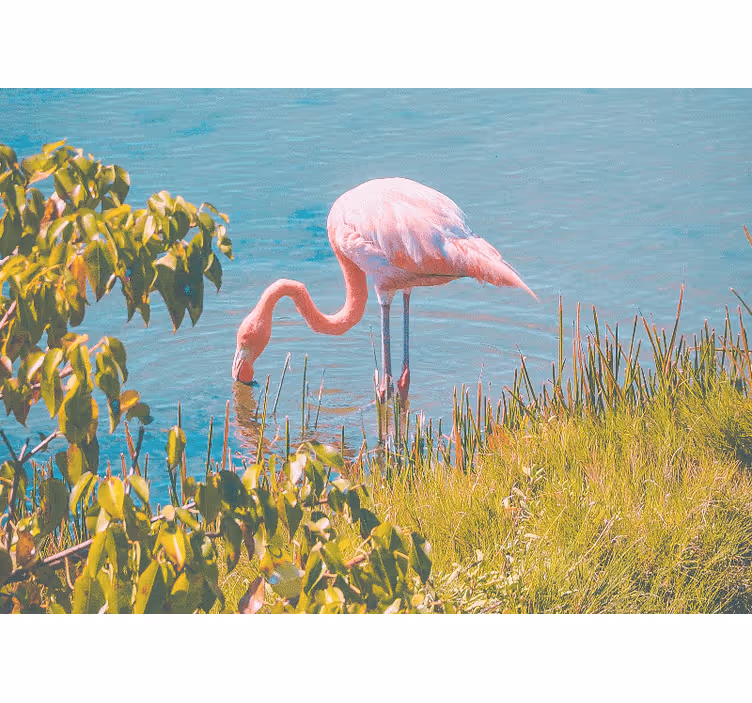 Pink Flamingo Serenity wall mural animals - TenStickers