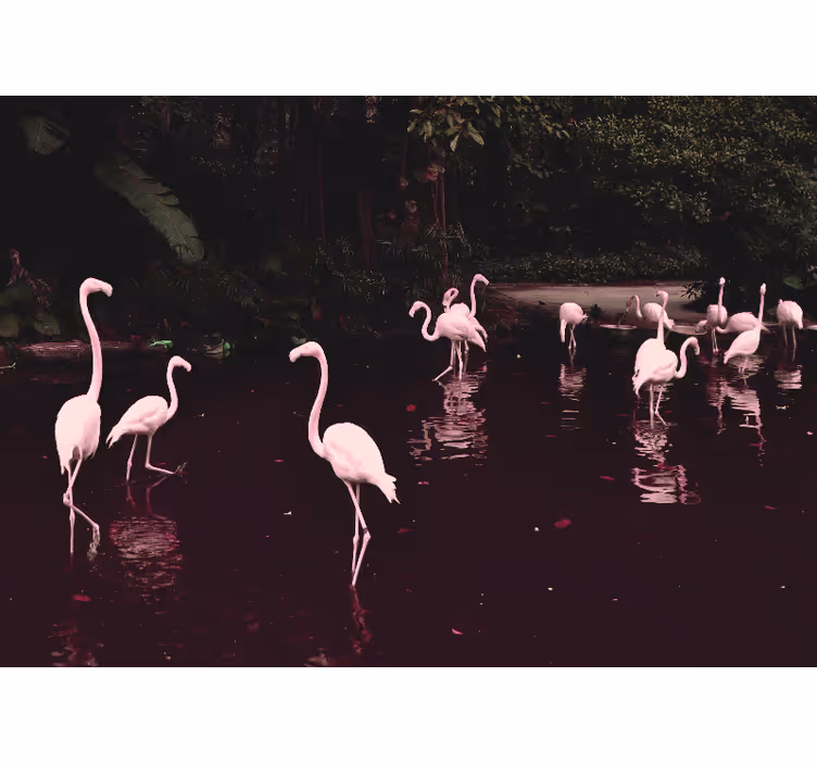 Wall mural home office elegant flamingos gathering - TenStickers