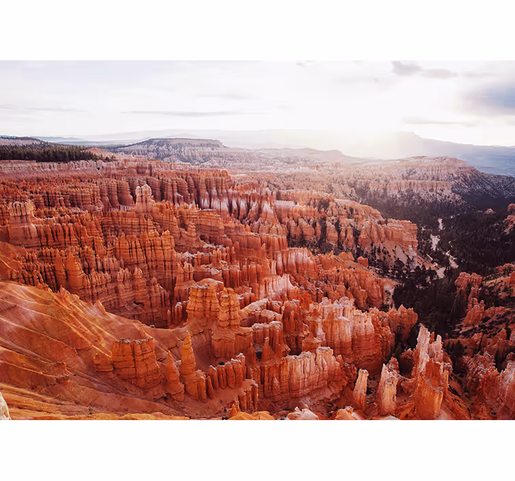 Bryce canyon view landscape wall mural - TenStickers