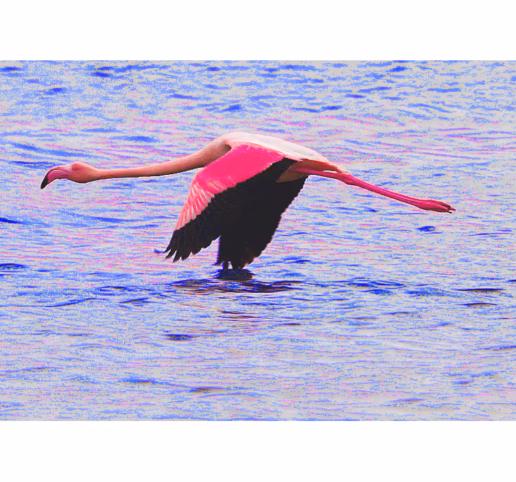 Flamingo in flight other wall mural animals - TenStickers