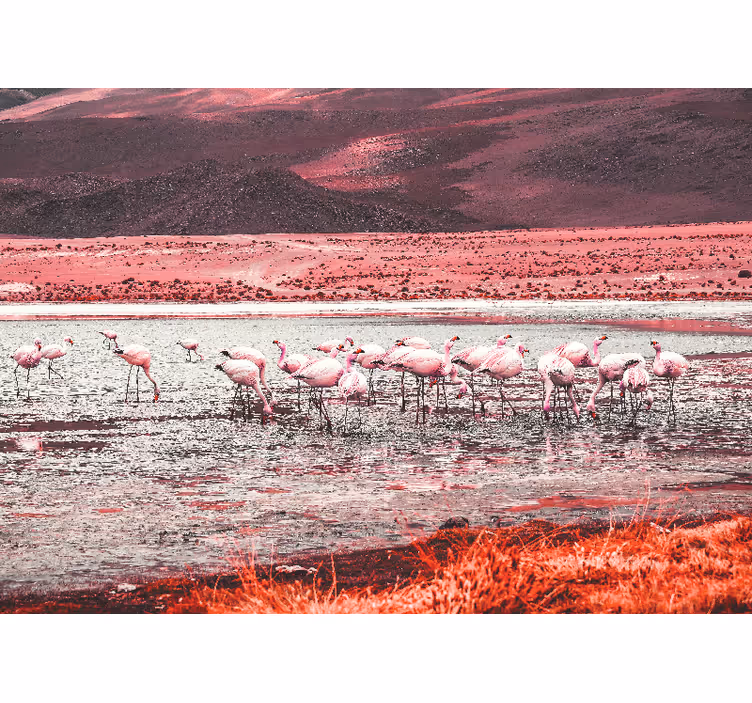 Other wall mural animals flamingo habitat scene - TenStickers