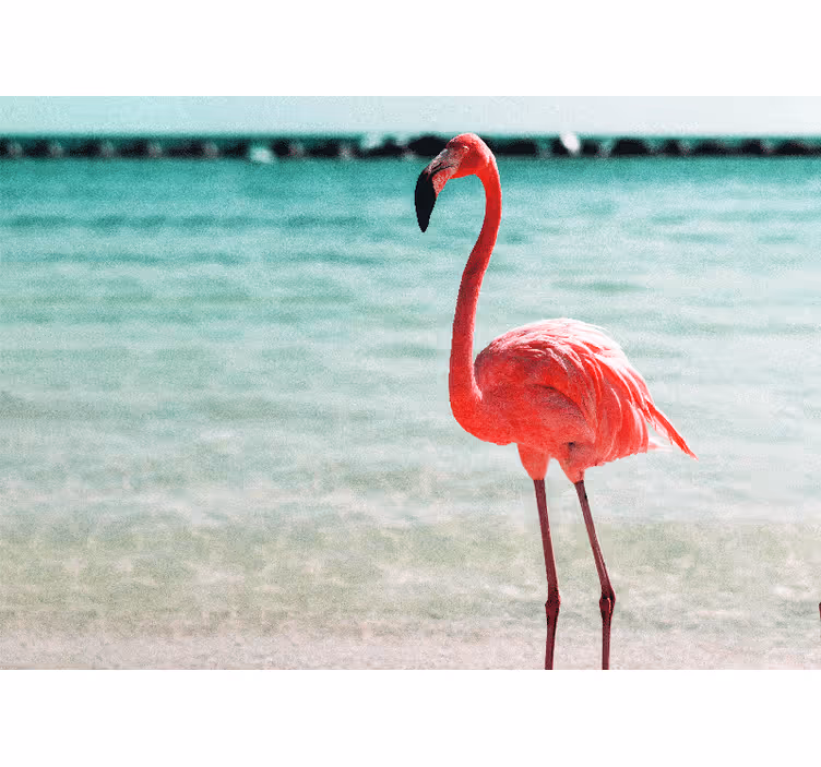 Wall mural animals graceful flamingo pose - TenStickers