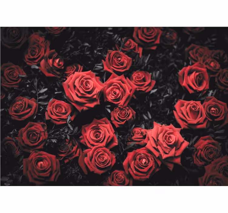 Flowers wall mural red rose design - TenStickers