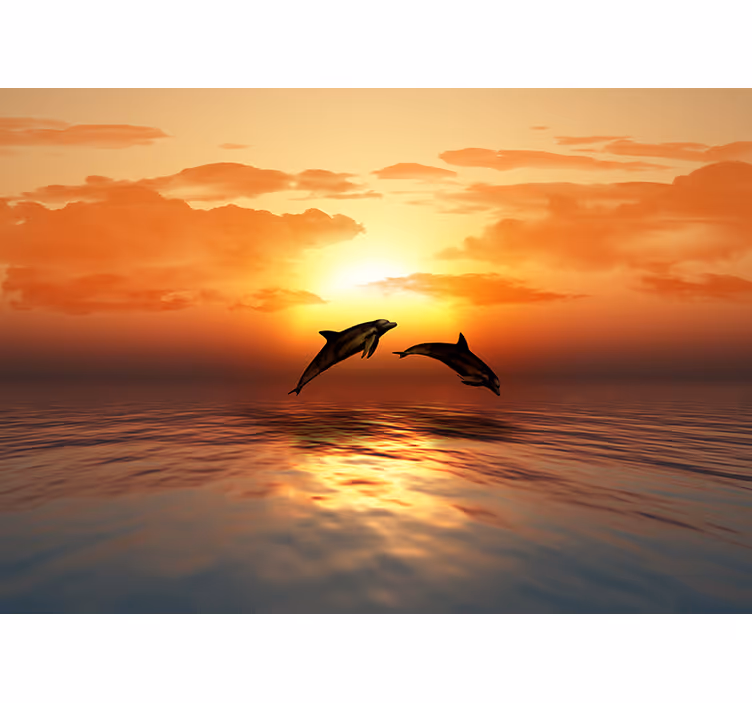 Dolphins Jumping Sunset wall mural animals - TenStickers