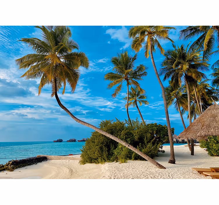 Coconut tree on beach living room wall mural - TenStickers
