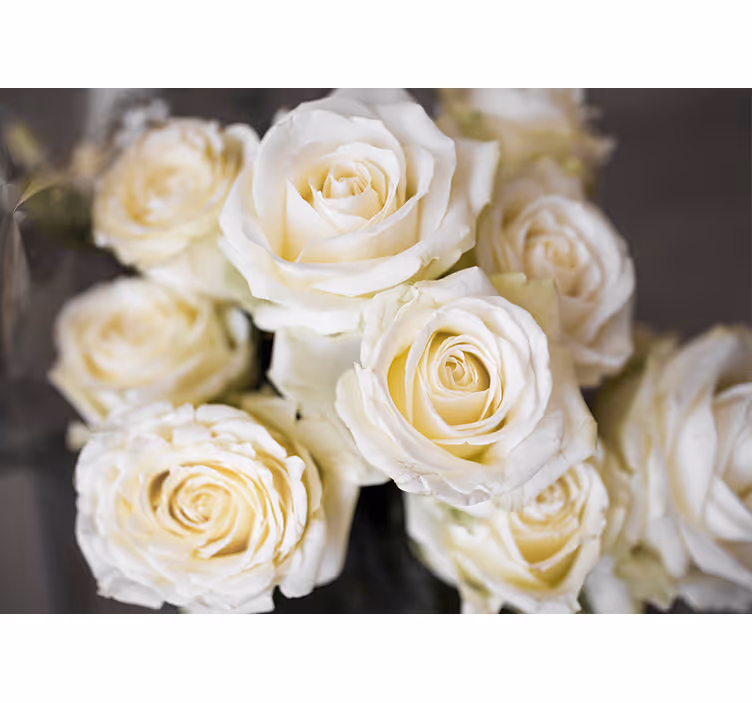 Flowers wall mural elegant white roses - TenStickers
