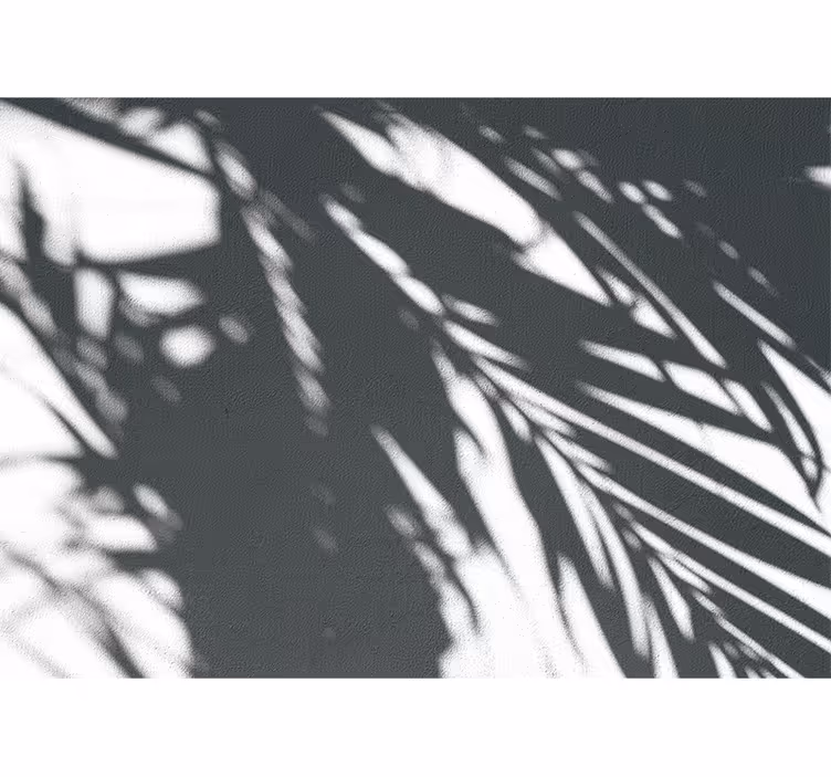 Nature wall mural shadowy palm designs - TenStickers