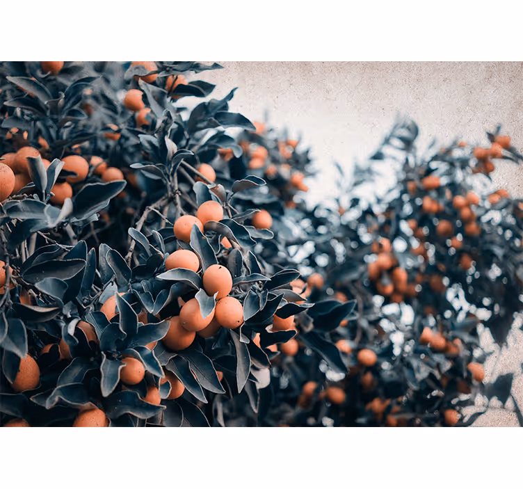 Flowers wall mural citrus fruit branch design - TenStickers