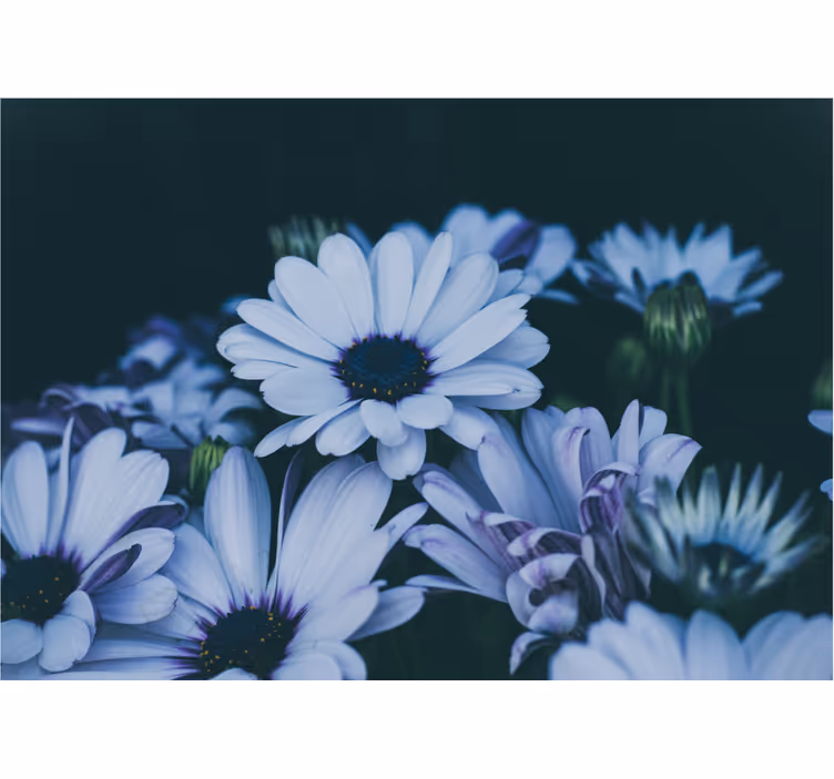 Flowers wall mural serene floral design - TenStickers