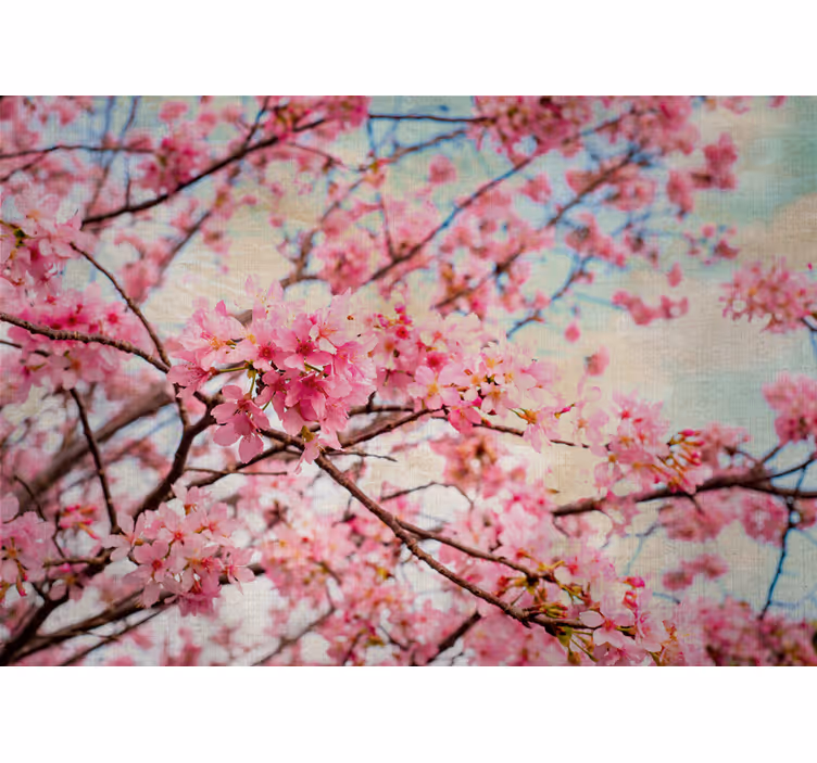 Flowers wall mural sakura branches design - TenStickers