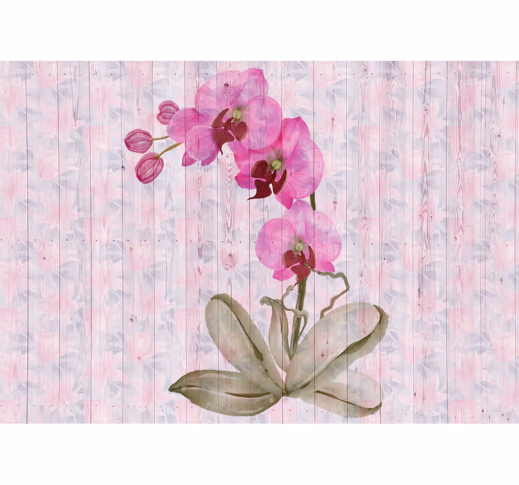 Flowers wall mural pink orchid blooms - TenStickers