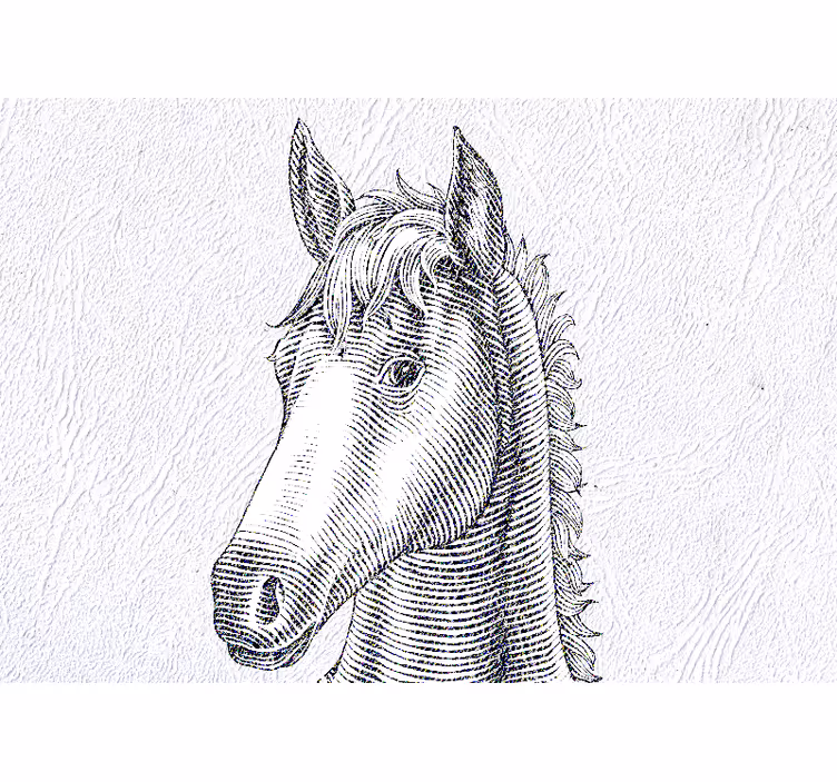 Wall mural animals elegant horse portrait - TenStickers