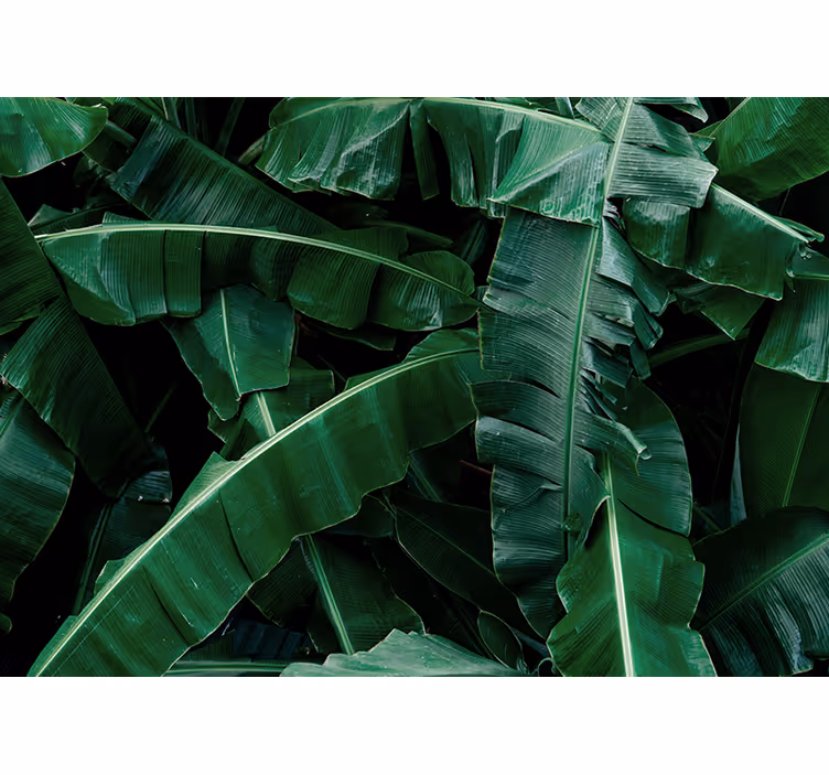 Nature wall mural vibrant green foliage - TenStickers
