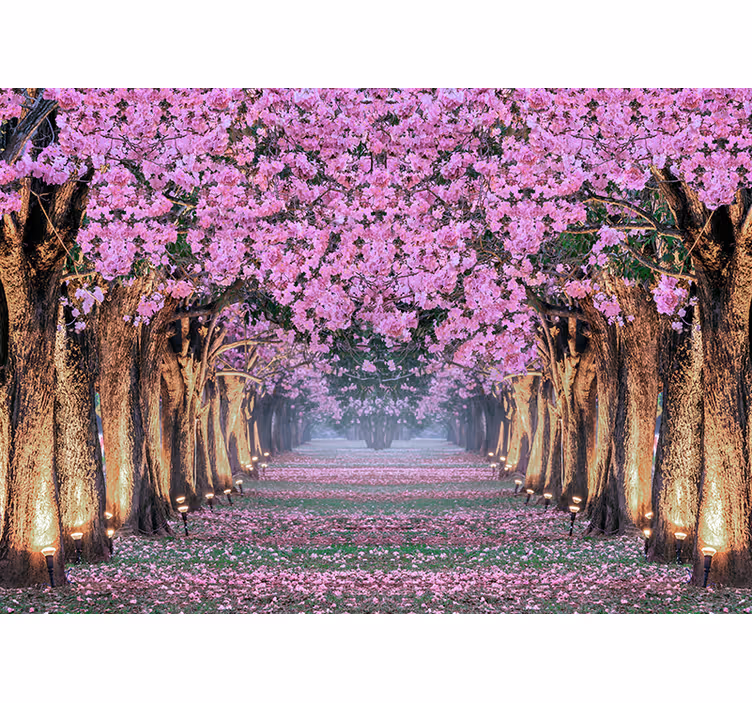 Flowers wall mural cherry blossom path - TenStickers