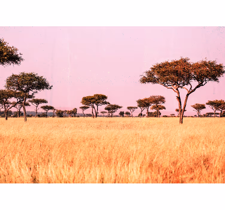 Landscape wall mural serene savanna landscape - TenStickers