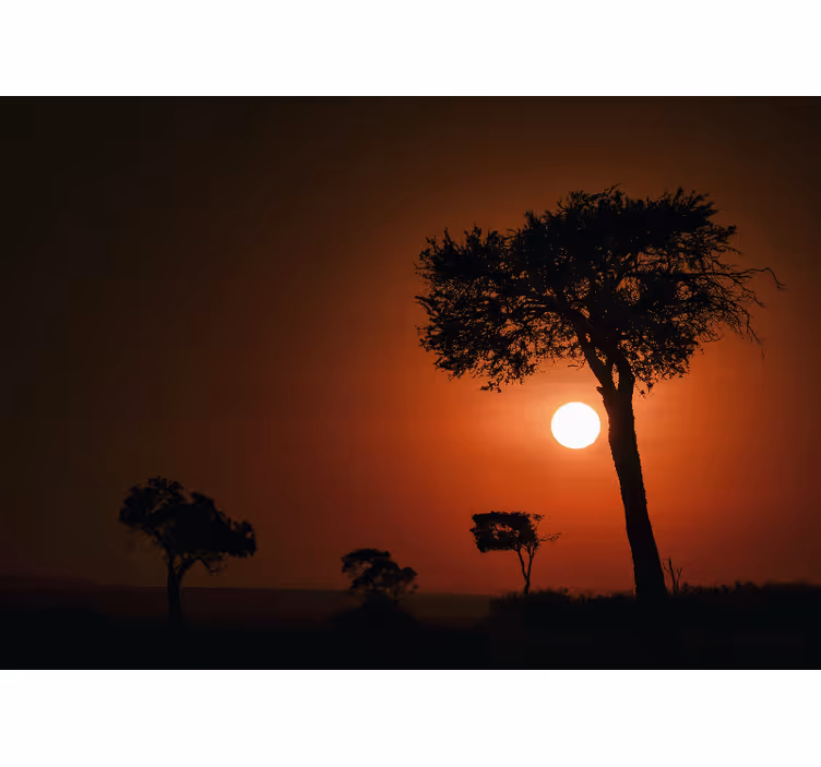 Silhouette Sunset Scene landscape wall mural - TenStickers