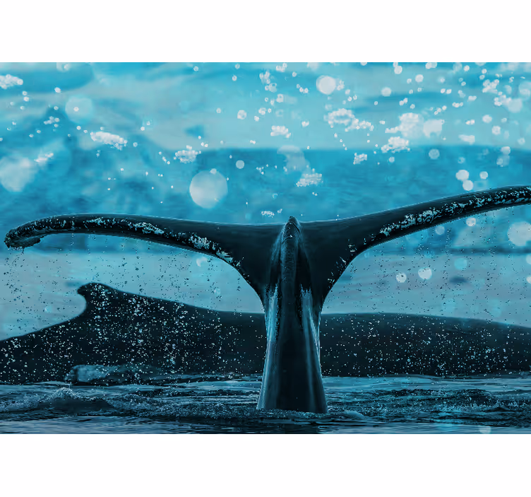 Wall mural animals whale fluke splash - TenStickers