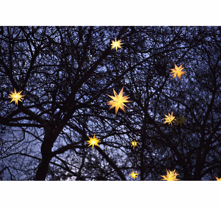 Wall mural christmas golden starry night - TenStickers