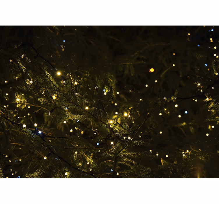 Wall mural christmas festive tree lights - TenStickers