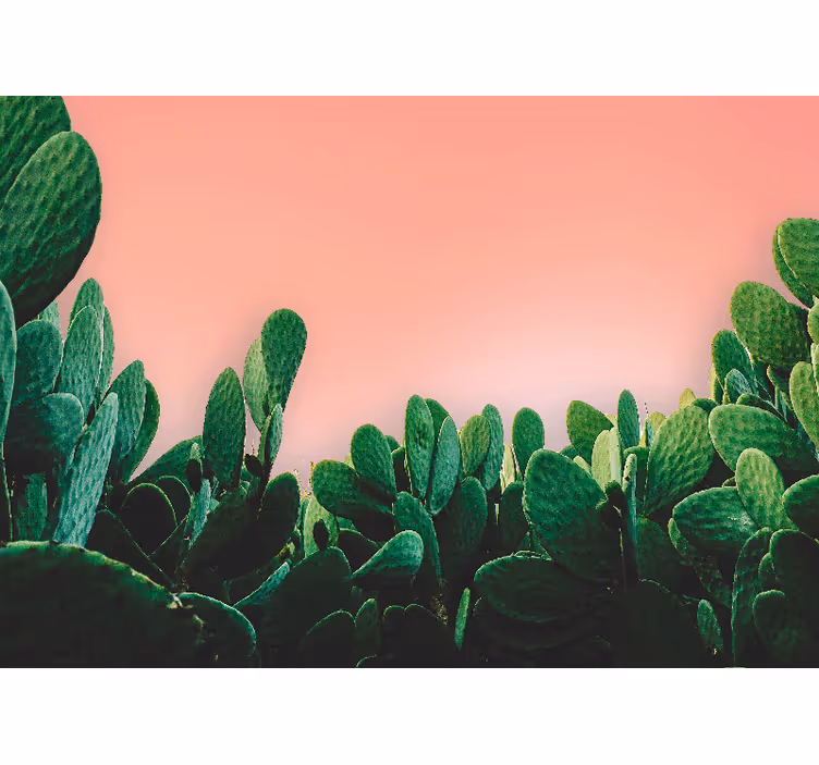 Nature wall mural cactus landscape - TenStickers