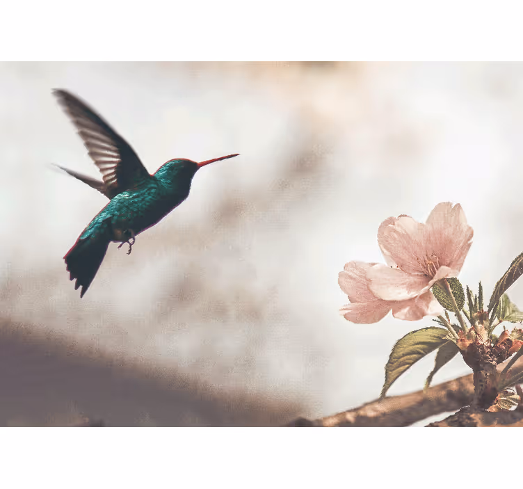 Chinese flower and bird vector set  Wall Mural - TenStickers
