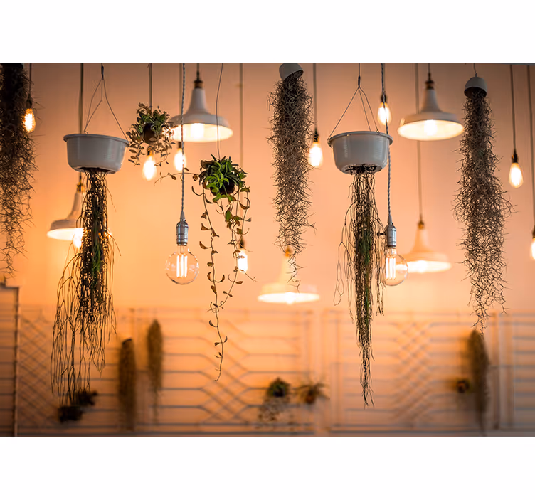 Hanging bulbs and plant Bedroom Mural Wallpaper - TenStickers