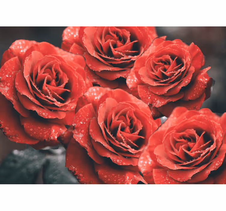 Flowers wall mural crimson rose blossoms - TenStickers