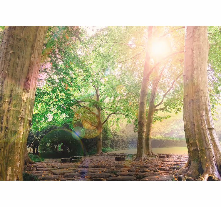 Nature wall mural lush greenery tranquility - TenStickers