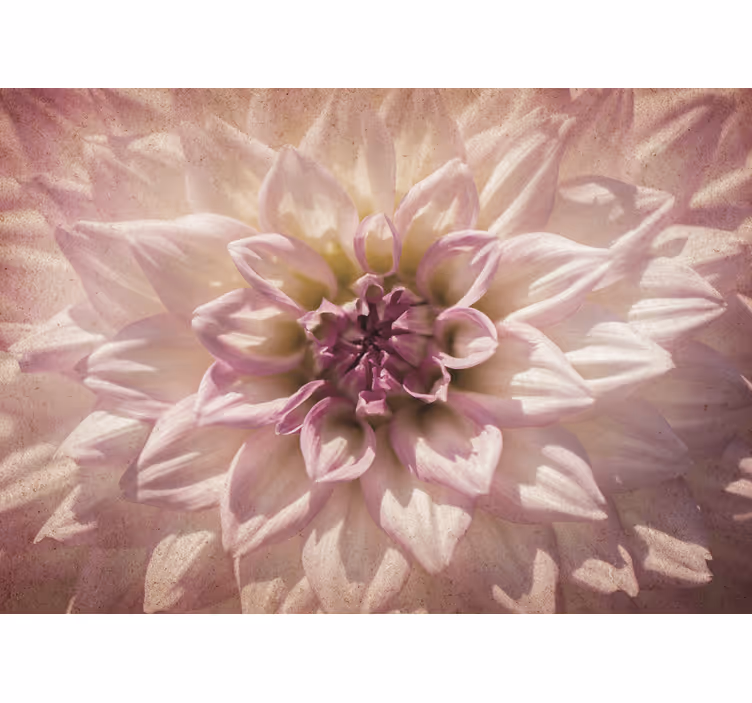 Delicate Pink Blossom other flowers wall mural - TenStickers