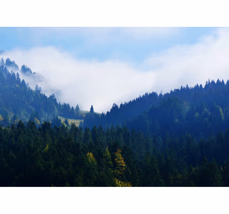 Nature wall mural mountains and mist - TenStickers