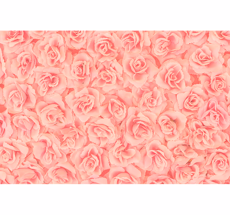 Flowers wall mural roses in bloom - TenStickers
