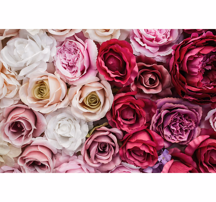 Flowers wall mural beautiful rose collection - TenStickers