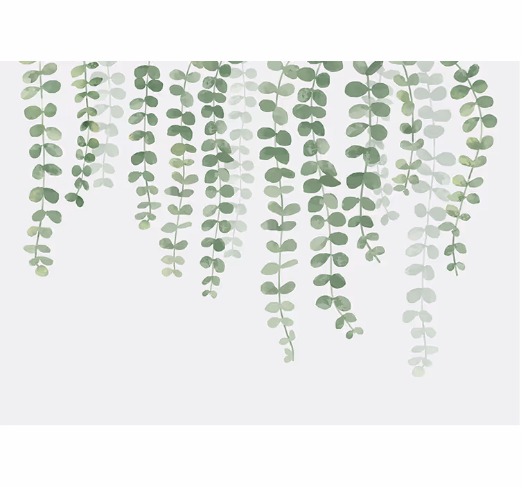 Vintage glycines over a white background mural - TenStickers