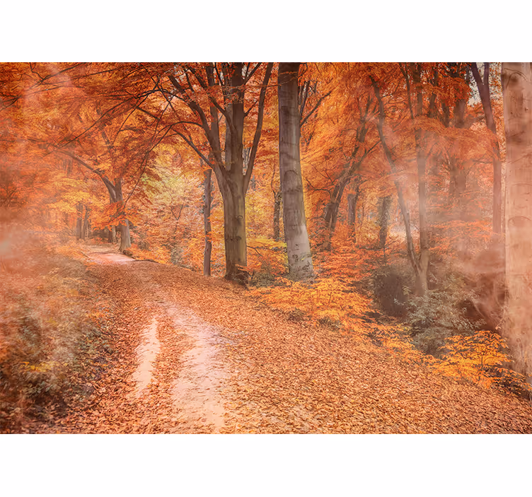 Nature wall mural autumn trail path - TenStickers