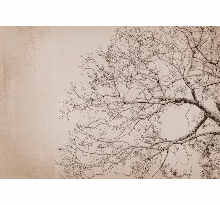 Trees wall mural beautiful branching silhouette - TenStickers