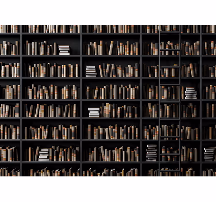 Stone wall mural library book collection - TenStickers