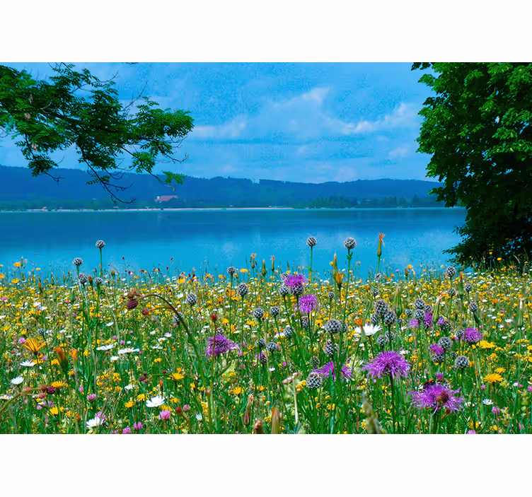 Flowers wall mural lush meadow flora - TenStickers