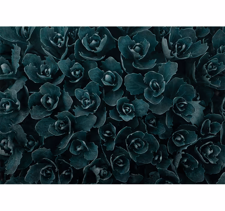 Flowers wall mural elegant rose blossom - TenStickers