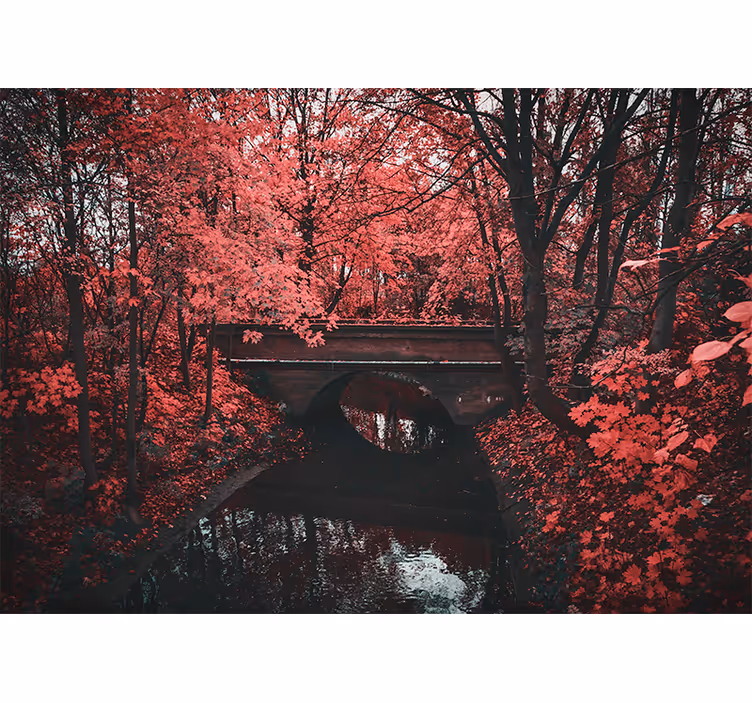 Nature wall mural red leaf forest - TenStickers