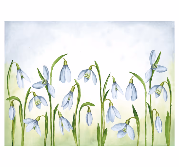 Other flowers wall mural snowdrop bloom - TenStickers