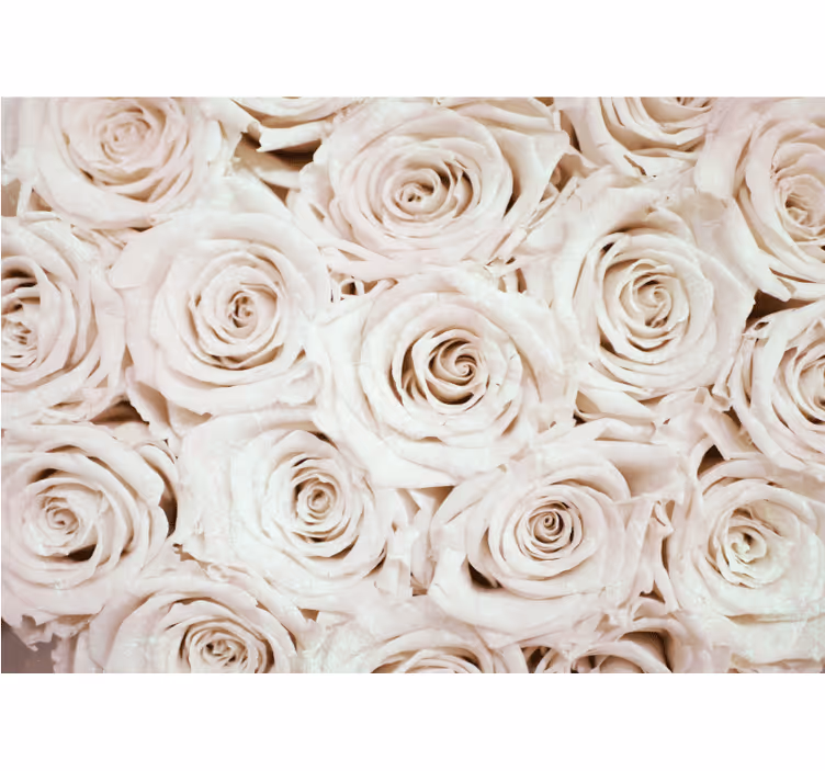 Flowers wall mural soft rose arrangement - TenStickers