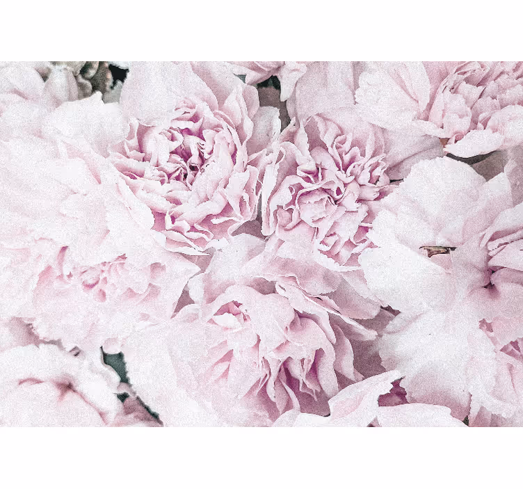 Flowers wall mural soft pink blossoms - TenStickers