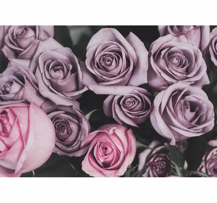 Flowers wall mural lavender rose bouquet - TenStickers