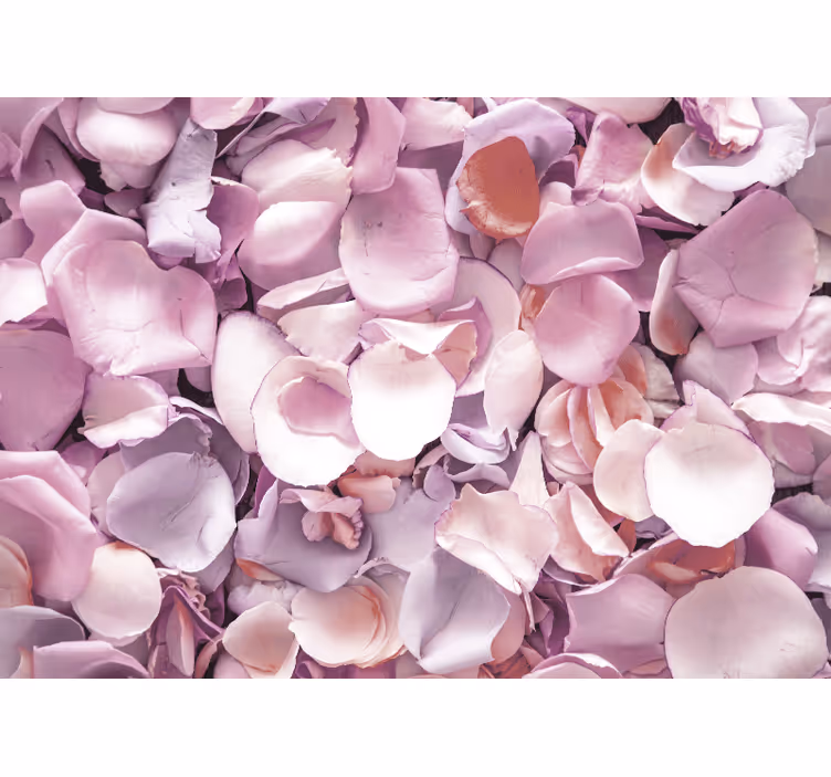 Flowers wall mural rose petal close-up - TenStickers
