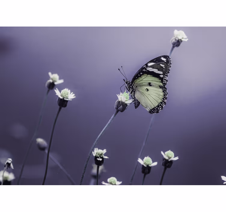 Flowers wall mural butterfly on flowers - TenStickers